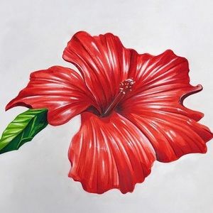 A Pan-American. Aka I have family in Panama 🇵🇦